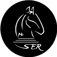 Servicios Estratégicos Rentables